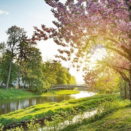 Pension Helma Бад-Нойенар-Арвайлер Экстерьер фото